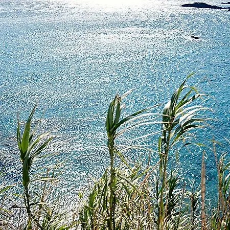 Mykonos Lolita, A To Live 3* Mykonos Town
